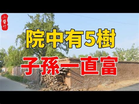 仙桃樹風水|【門前的風水樹】門前種什麼樹風水好種對了樹好運連連 